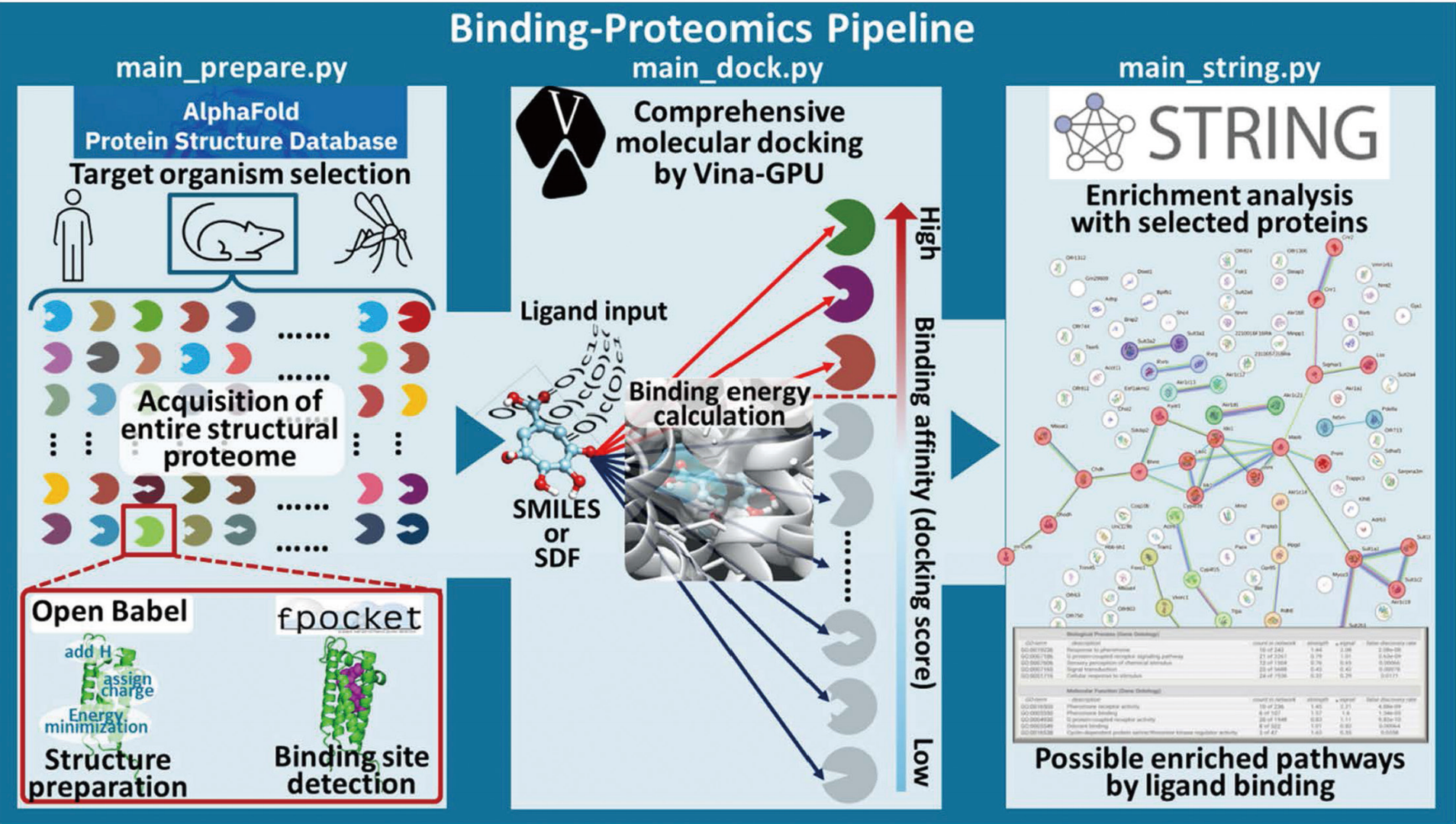 Fig. 1 Binding-Proteomics Pipeline