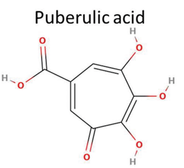 Puberulic acid 小分子结构