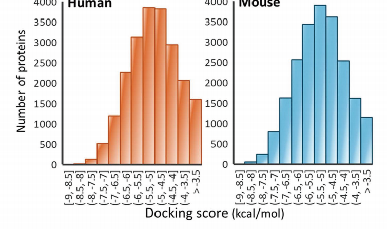 Fig. 4B Human 和 Mouse docking score 直方图