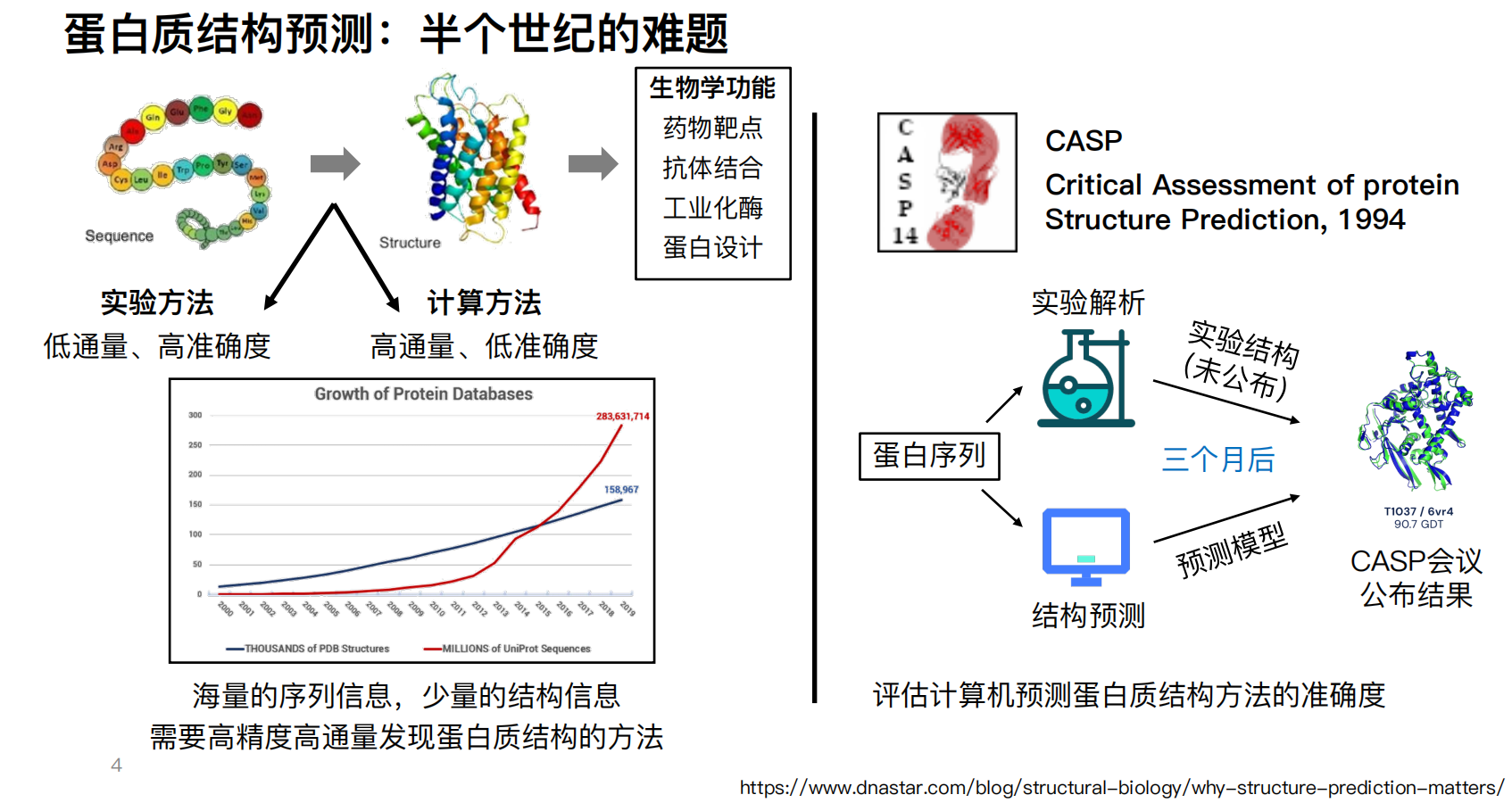 原 PPT 第12页：蛋白质结构预测半个世纪的难题与 CASP 评价流程