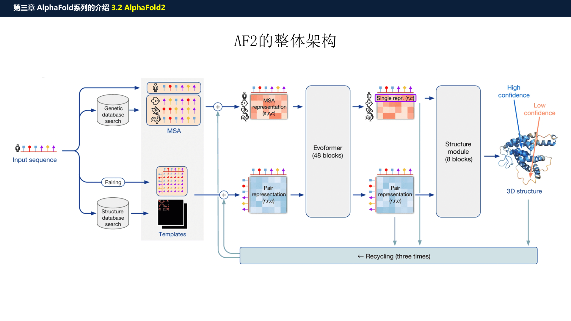 源PPT第18页：AF2 整体架构