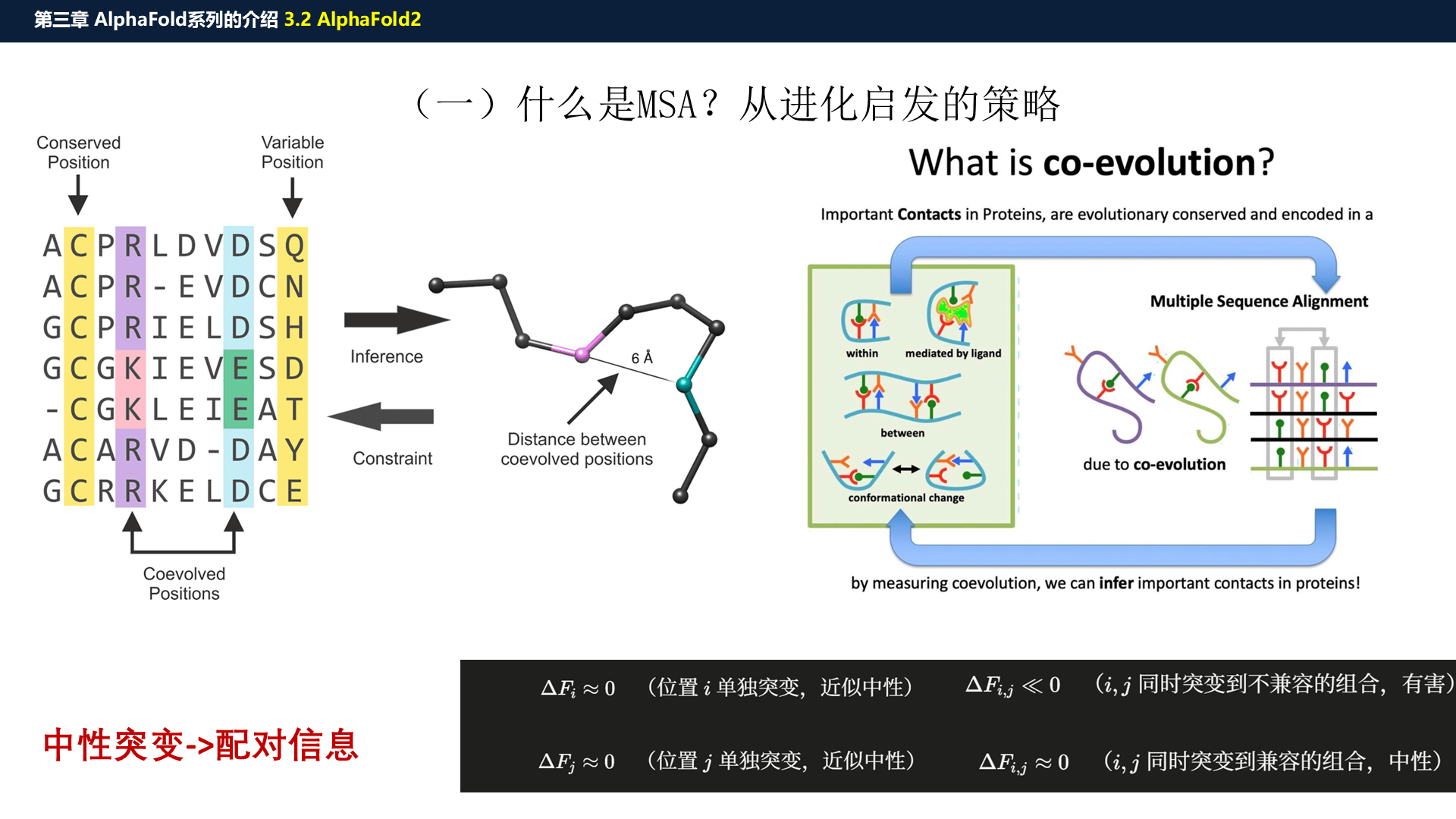 源PPT第20页：MSA 共进化启发