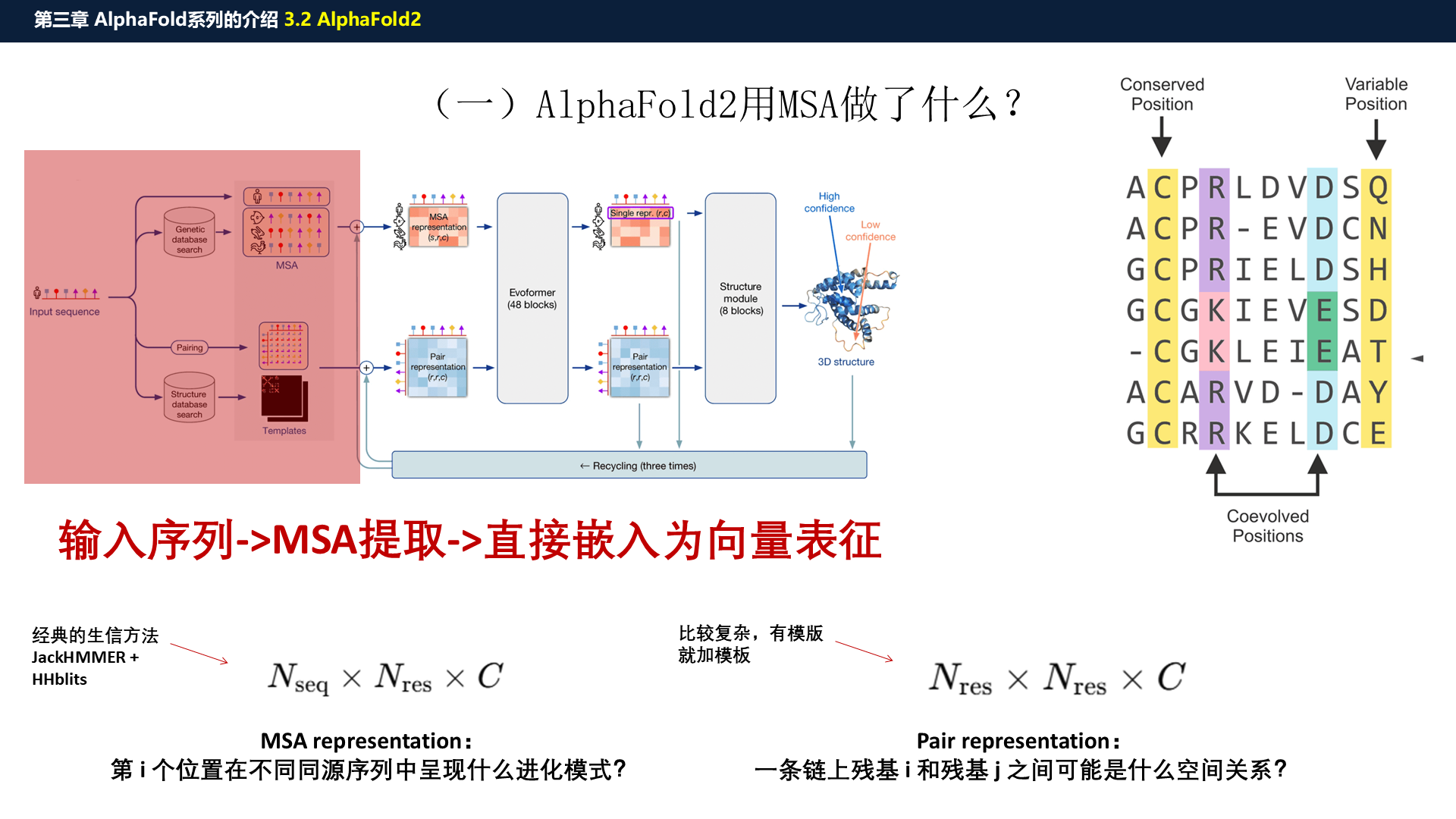源PPT第23页：AF2 用 MSA 做什么