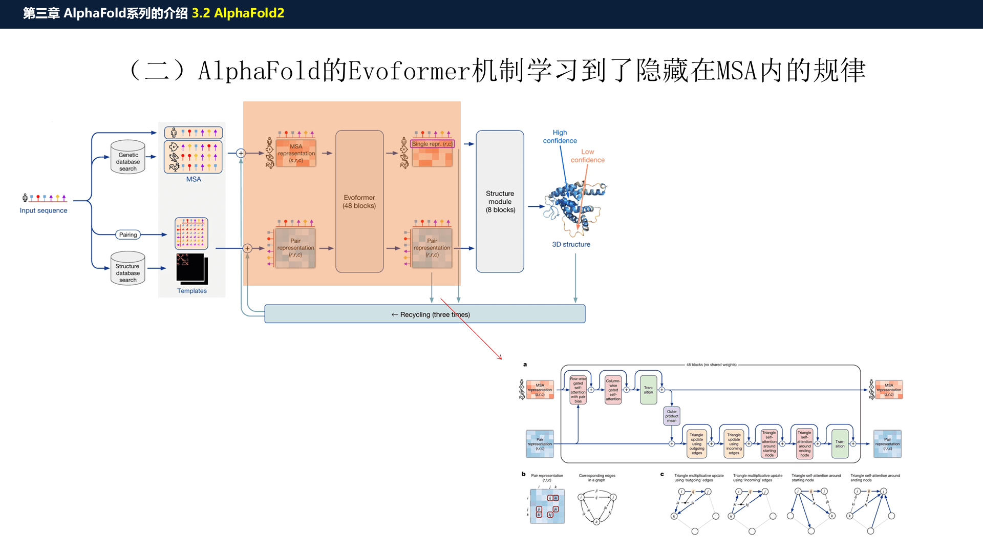 源PPT第25页：Evoformer 弹性