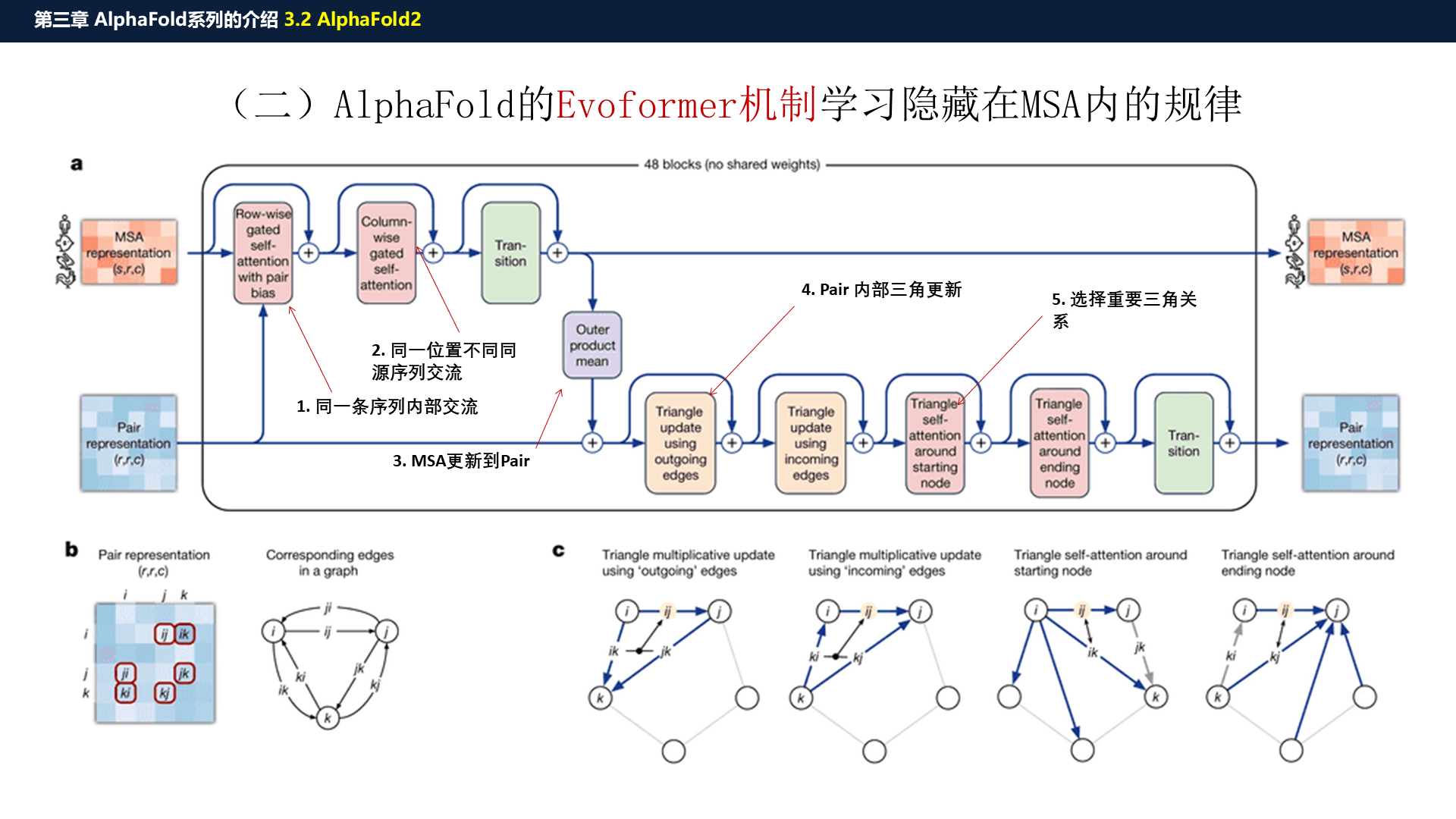 源PPT第26页：Evoformer 机制