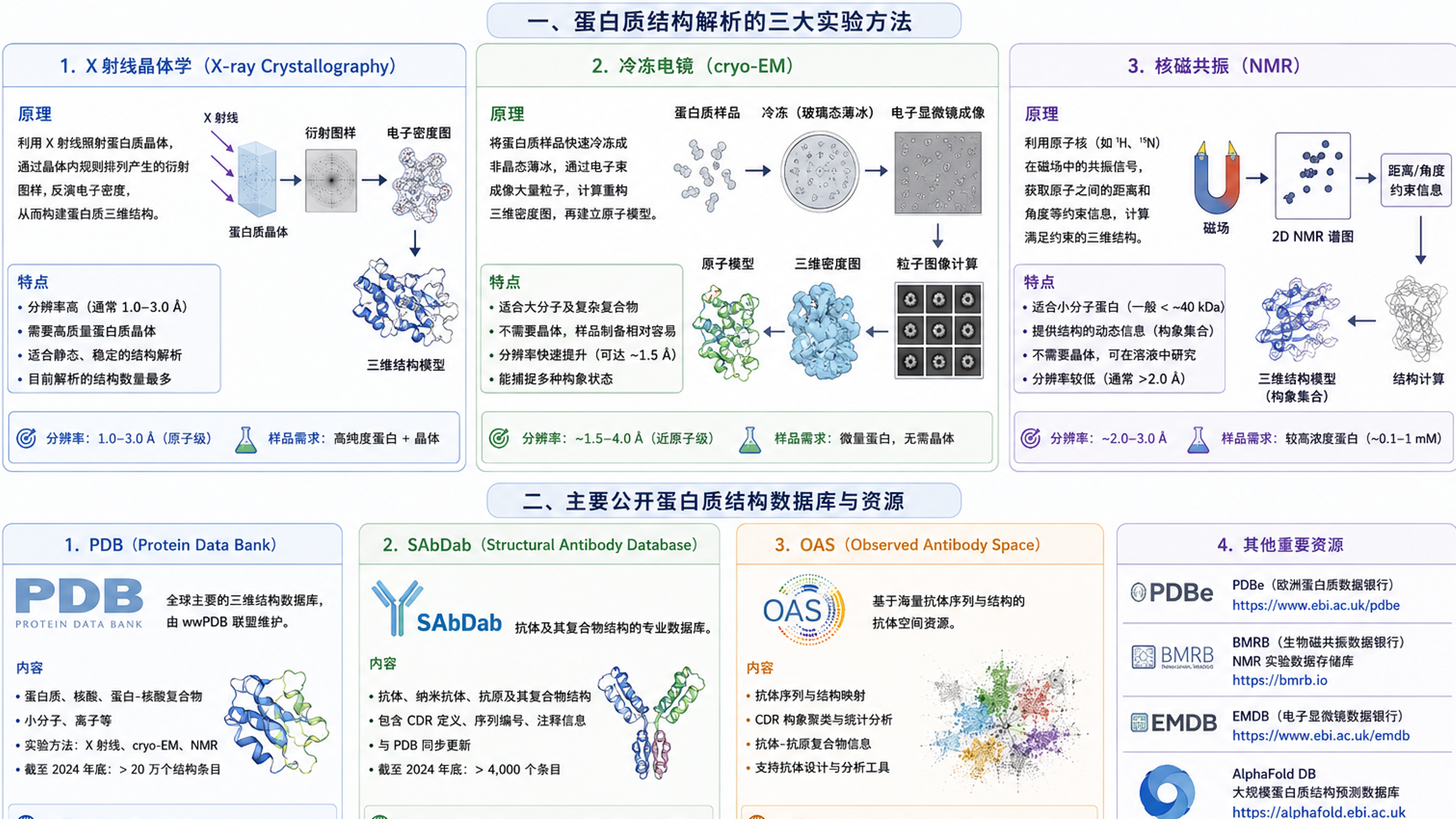 蛋白质结构解析方法与公开结构数据库概览：X-ray、cryo-EM、NMR、PDB、SAbDab、OAS 和 AlphaFold DB