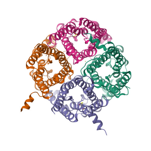 AQP2 PDB 4NEF 四聚体 ribbon 结构