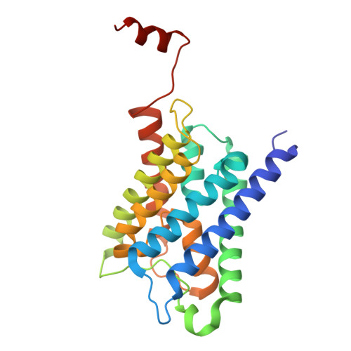 AQP2 PDB 4NEF 单体跨膜水通道结构