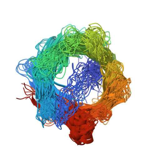 HCV p7 PDB 2M6X 病毒孔道与抑制剂口袋