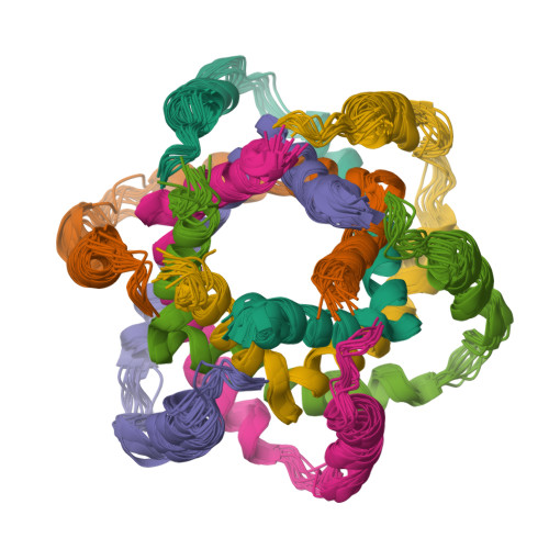 VDAC1 PDB 2K4T 19股β桶膜通道结构束