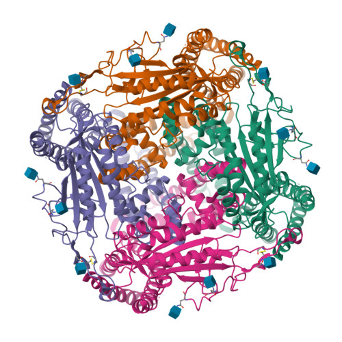 PC2 PKD2 PDB 5T4D 四聚体 cryo-EM 结构