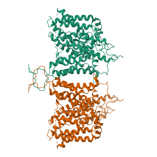 NBCe1 SLC4A4 PDB 6CAA 二聚体 cryo-EM 结构