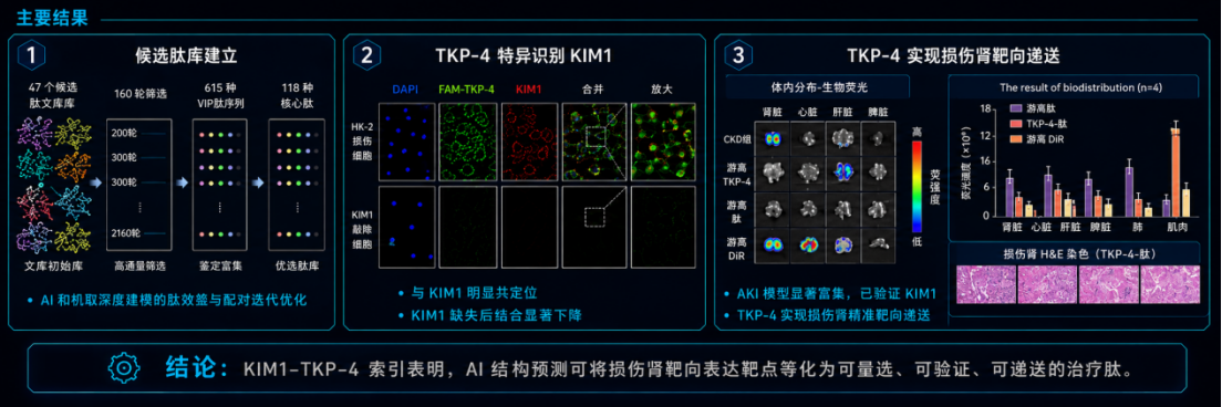 KIM1-TKP-4 主要结果图